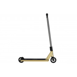 Complète Native Stem Saundezy