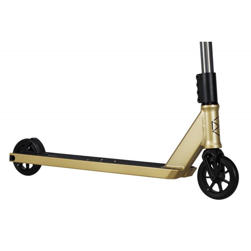 Complète Native Stem Saundezy