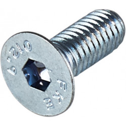 Apex Brake Screw