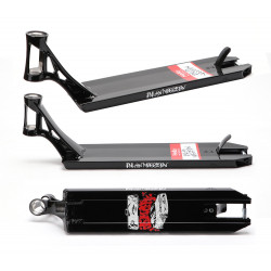 AO Dylan V2 Sign. Deck 4,8"