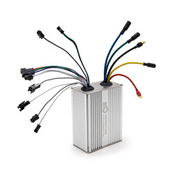 Contrôleur Dualtron...