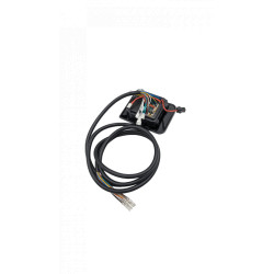 Display EYE2 Dualtron POP