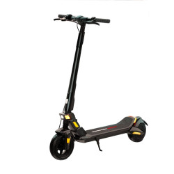 Dualtron Dolphin 36V