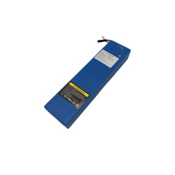 36V Dualtron Dolphin battery