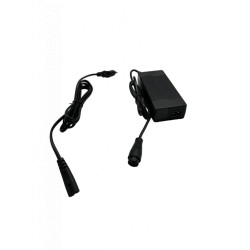 Chargeur 48V Dualtron Togo