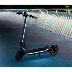 Trottinette Electrique Punk...