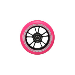 Roue Blunt 10 spokes 100mm