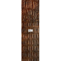 Grip Prey Alligator